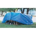 House 20 ft x 40 ft Tarp, Polyethylene HO1611005